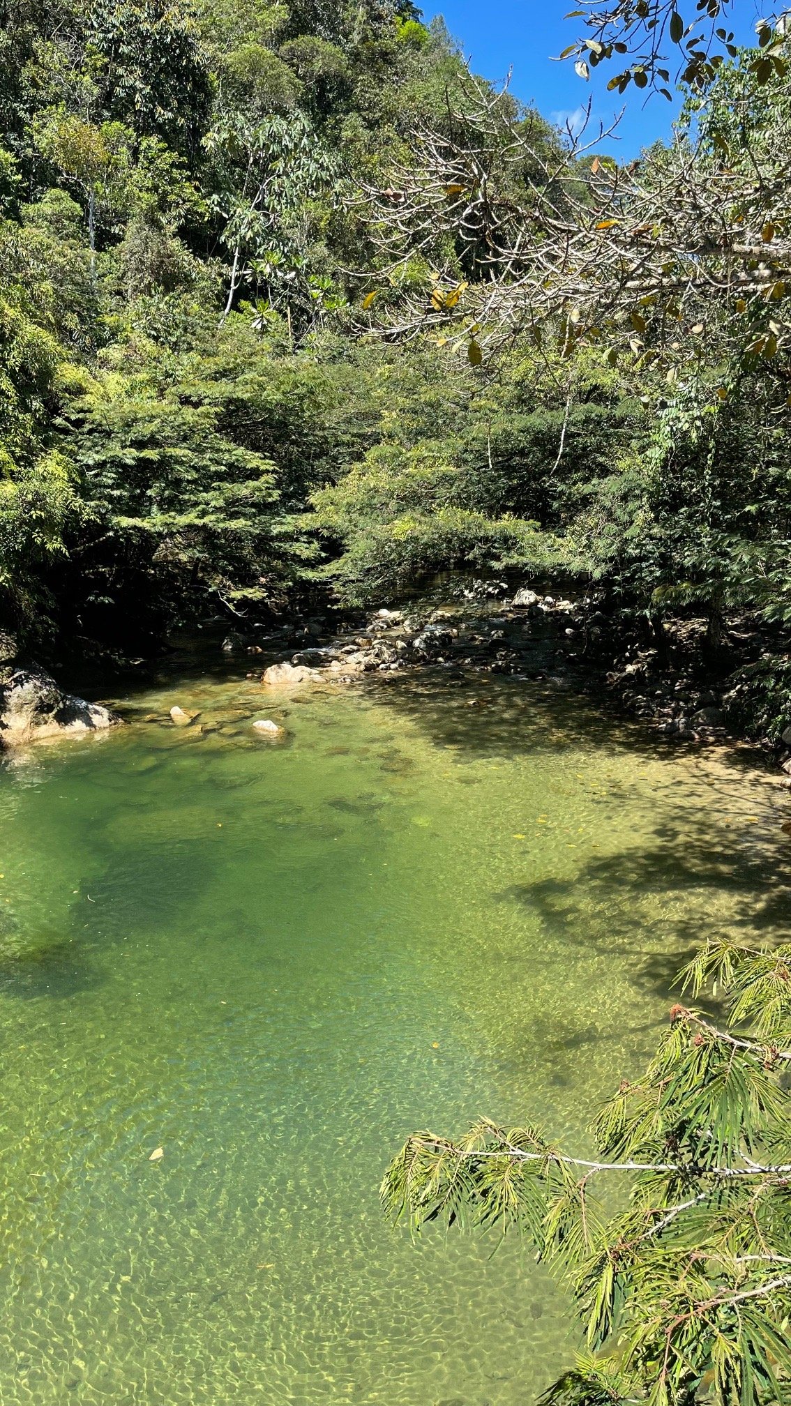 Charco La Cristalina, San Carlos Antioquia 