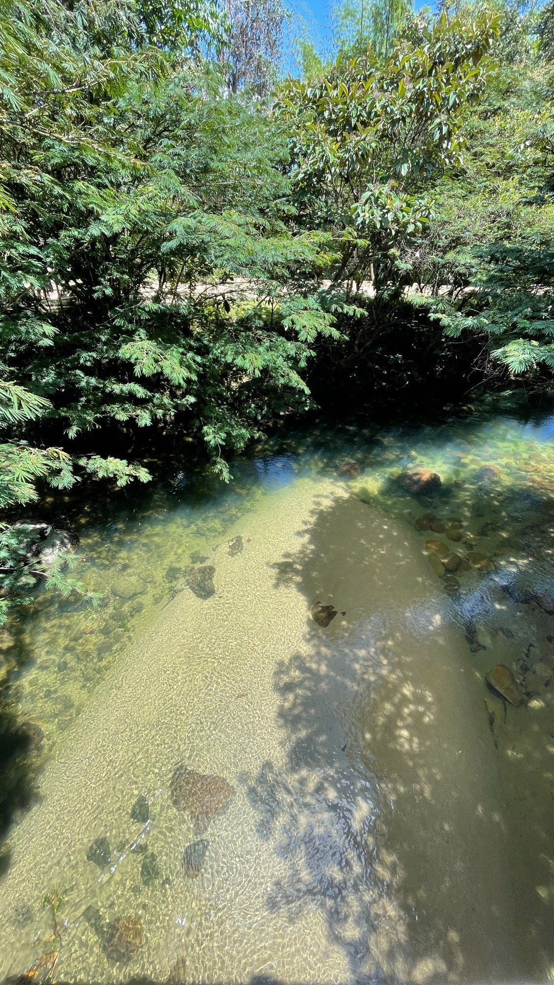 Charco San Rafael Antioquia